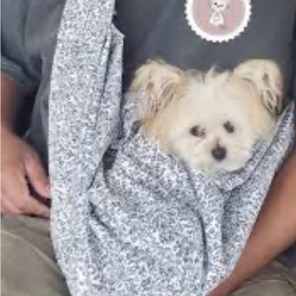 Gray Pet Sling Carrier